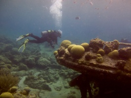 Shannon at the Tug Boat IMG 7755